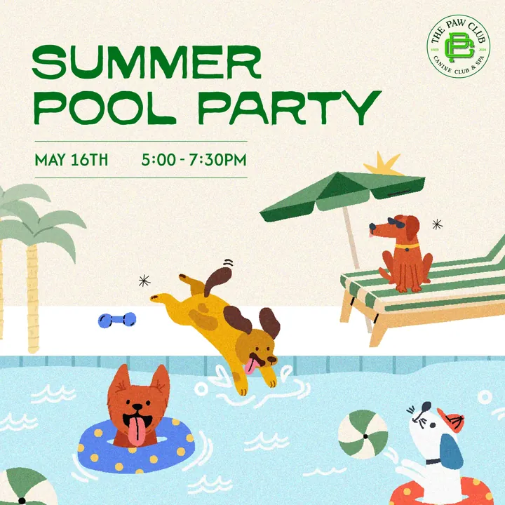The Paw Club summer pool party poster